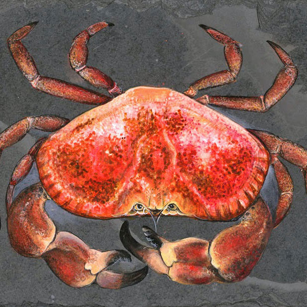 Crab painted on slate by Abigail Holden-Parker